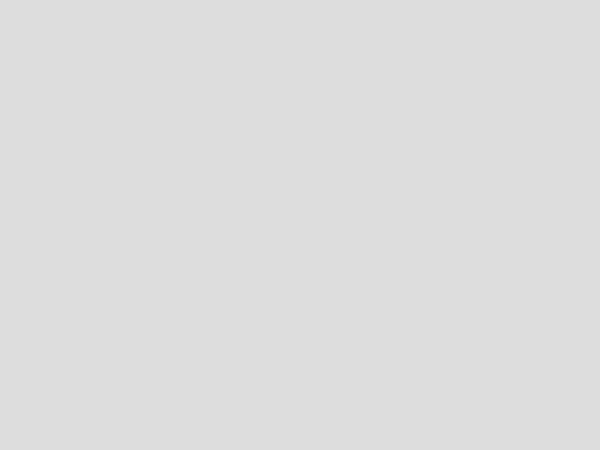 18581861_323462621407015_4378441778845079492_n.jpg